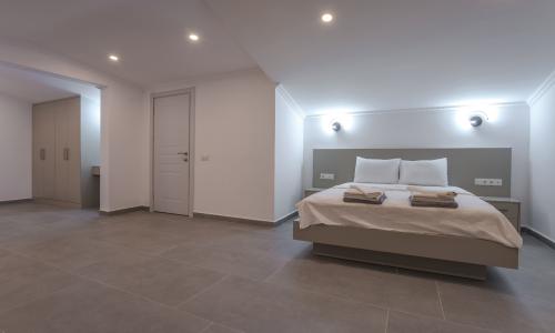 Villa Lion — 77
