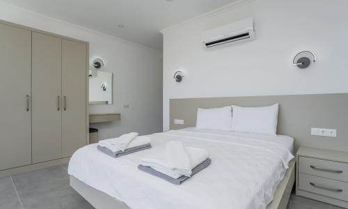 Villa Lion — 101