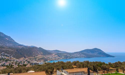 Villa Lion — 48