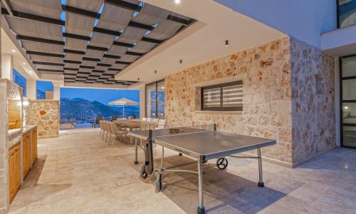 Villa Lion — 50