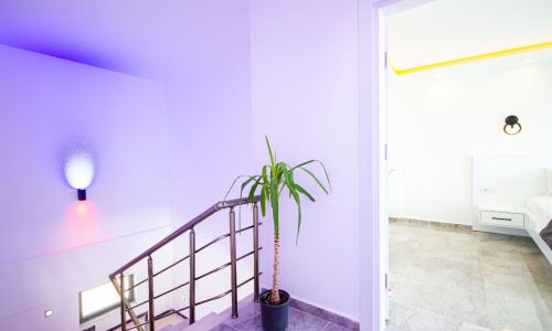 Villa Luka — 36