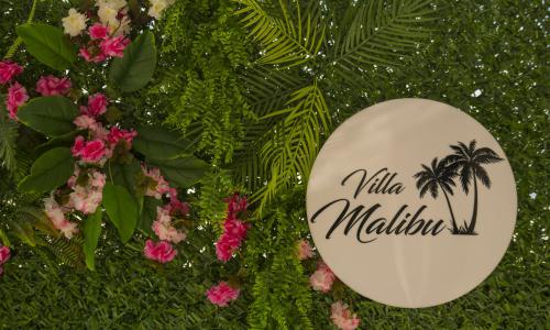 Villa Malibu — 96