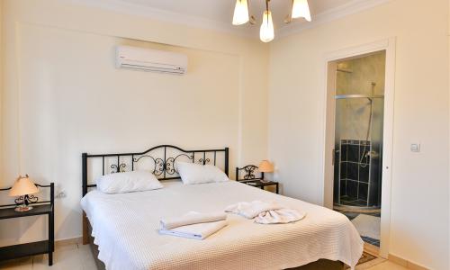 Villa Mango — 29