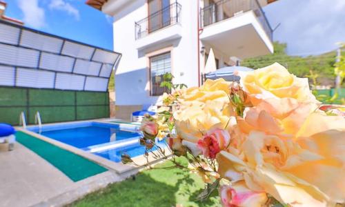 Villa Mars — 1