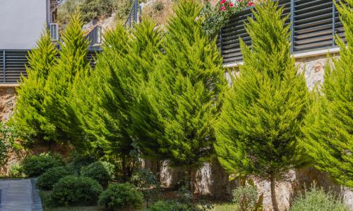 Villa Melida Trio — 62