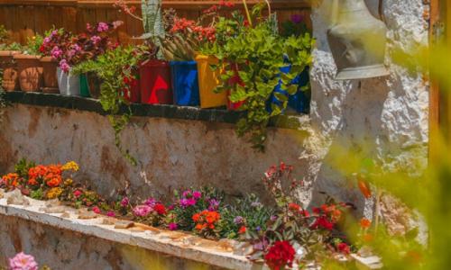 Villa Mercan Sısla — 55