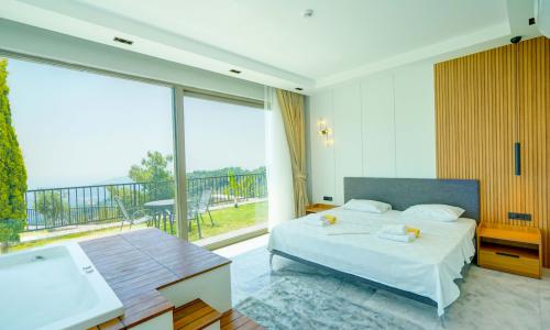Villa Mercury 9 — 19