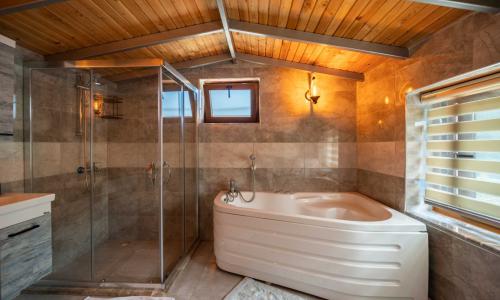 Villa Mountain House — 61