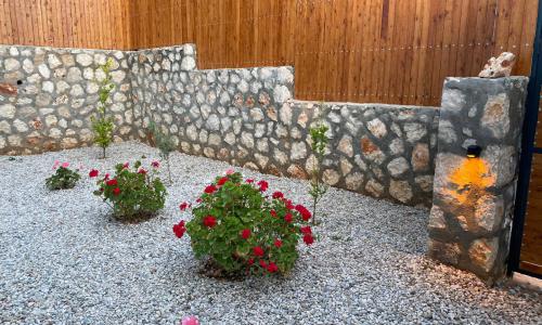 Villa Mustang — 52