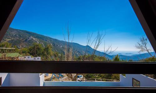 Villa Muzo Duo — 16