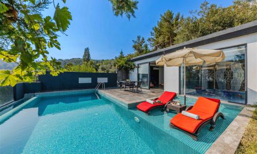 Villa Muzo — 8