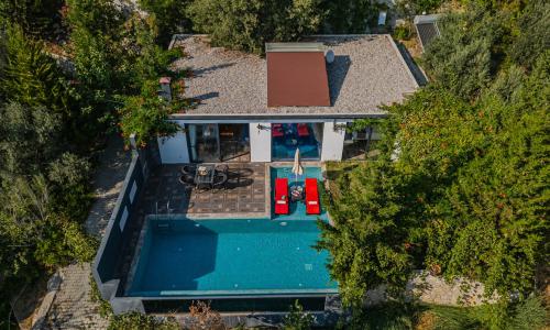 Villa Muzo — 56