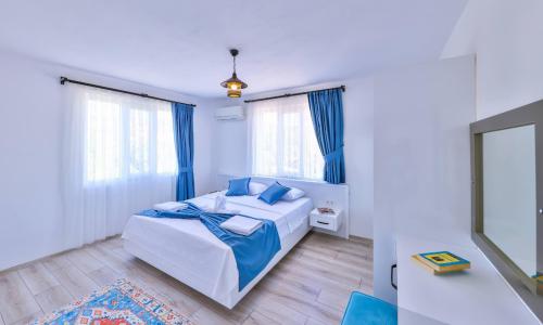 Villa Nazard — 13