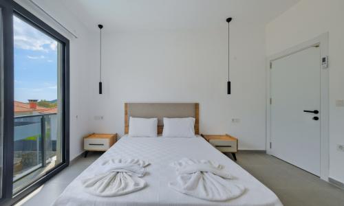 Villa Note 5 — 50