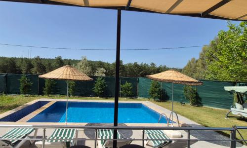 Villa Okaliptus — 51