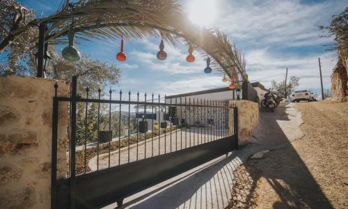 Villa Oliva — 41