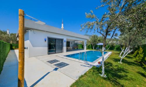 Villa Olive — 7