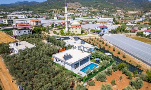 Villa Olive — 50