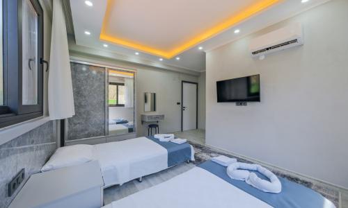 Villa Olive — 52