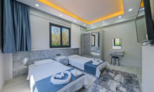 Villa Olive — 53