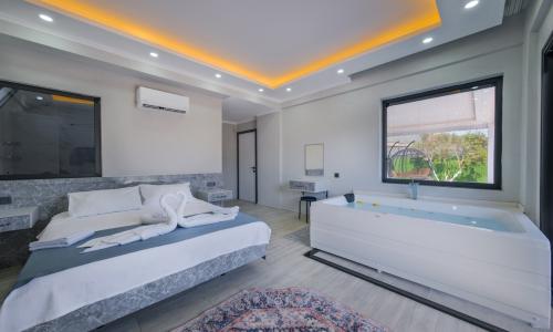 Villa Olive — 40