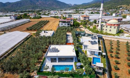 Villa Olive — 51