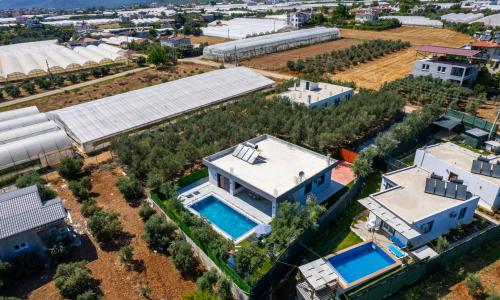 Villa Olive — 48