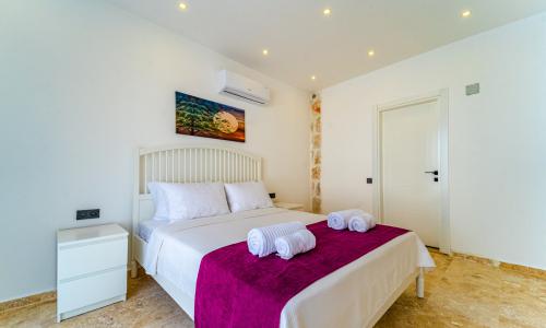 Villa Orion Bezirgan — 41