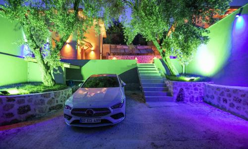 Villa Palace Small — 30