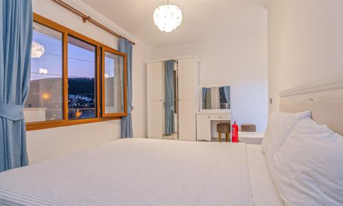 Villa Palm — 41