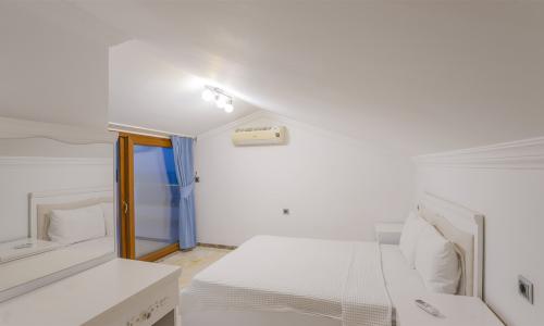 Villa Palm — 45