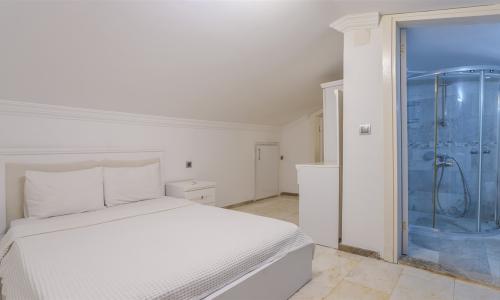 Villa Palm — 44
