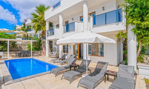 Villa Palm — 9