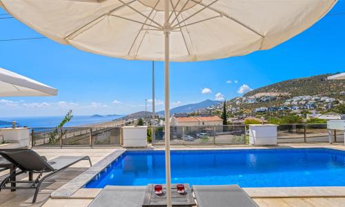 Villa Palm — 15