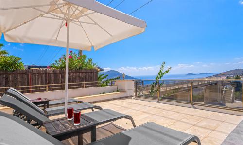 Villa Palm — 13