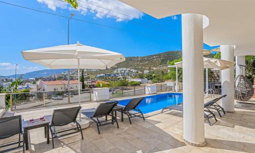 Villa Palm — 50
