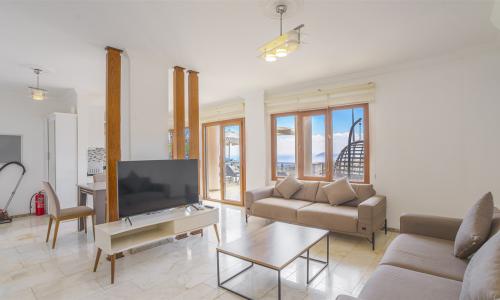Villa Palm — 26
