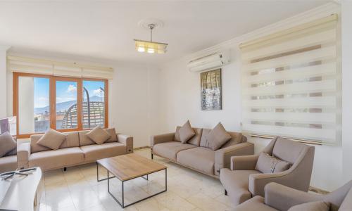 Villa Palm — 27