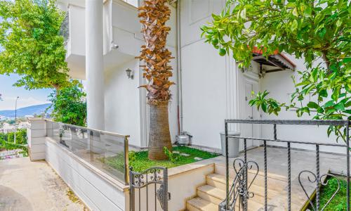 Villa Palm — 51