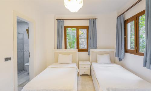 Villa Palm — 32
