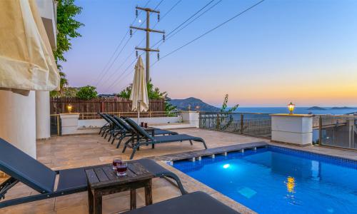 Villa Palm — 6