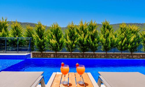 Villa Palmira Sarıbelen — 44
