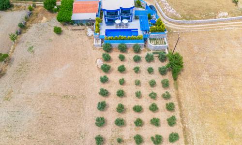 Villa Palmira Sarıbelen — 66