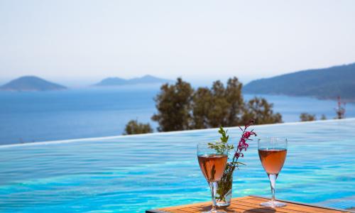 Villa Panoramas — 5