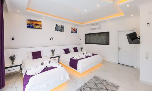 Villa Paradise Yeşilköy 2 — 40