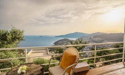 Villa Patika Tiny — 12