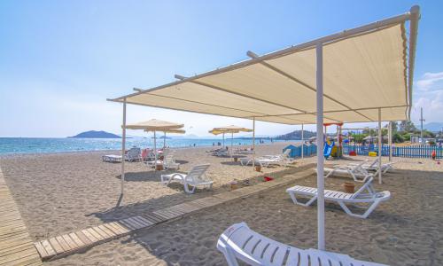 Villa Pearl 9 — 40