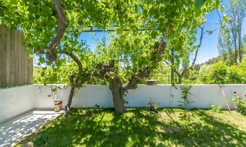 Villa Pierre 1 — 23