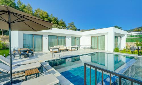 Villa Pluto 1