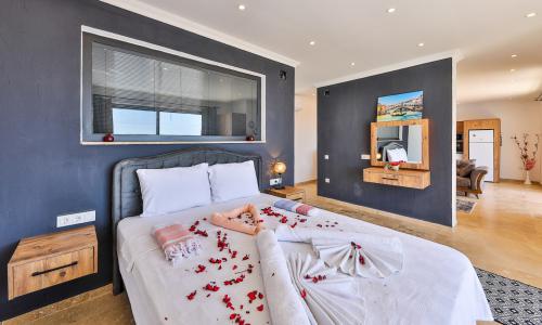 Villa Porto Riko — 14
